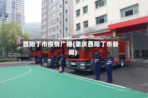 酉阳丁市疫情广播(重庆酉阳丁市新闻)-第1张图片