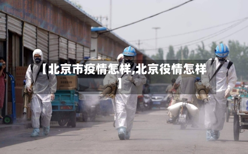 【北京市疫情怎样,北京役情怎样】-第3张图片