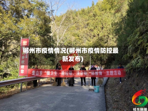 郴州市疫情情况(郴州市疫情防控最新发布)-第2张图片