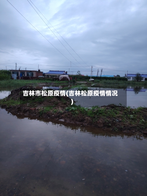 吉林市松原疫情(吉林松原疫情情况)-第3张图片