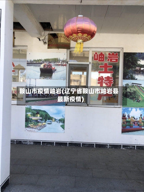 鞍山市疫情岫岩(辽宁省鞍山市岫岩县最新疫情)-第1张图片