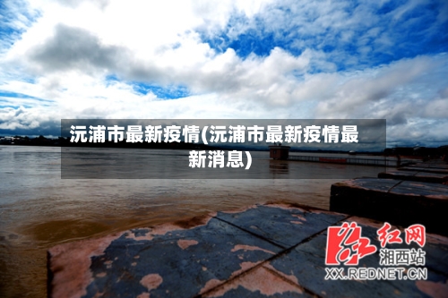 沅浦市最新疫情(沅浦市最新疫情最新消息)-第1张图片