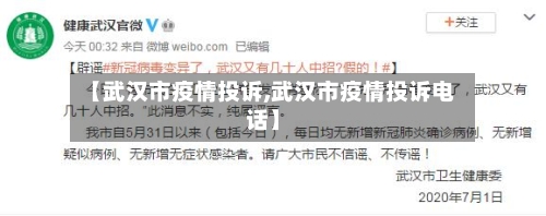 【武汉市疫情投诉,武汉市疫情投诉电话】-第3张图片
