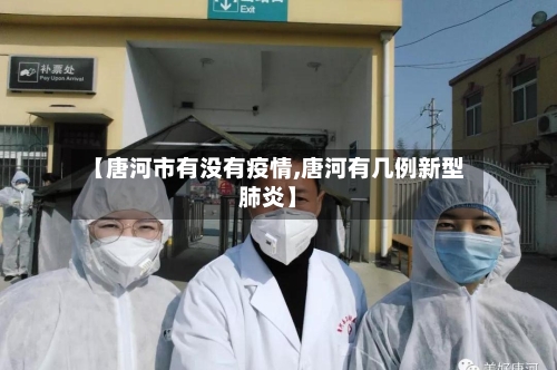 【唐河市有没有疫情,唐河有几例新型肺炎】-第3张图片