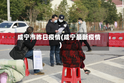 咸宁市昨日疫情(咸宁最新疫情)-第1张图片