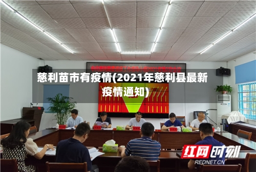 慈利苗市有疫情(2021年慈利县最新疫情通知)-第2张图片