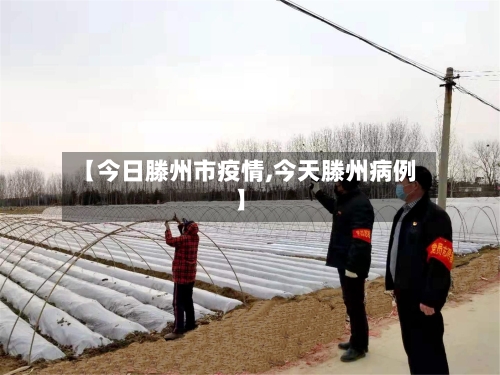 【今日滕州市疫情,今天滕州病例】