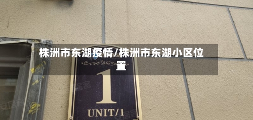 株洲市东湖疫情/株洲市东湖小区位置-第2张图片
