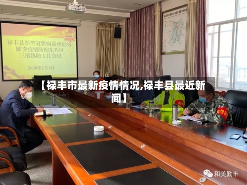 【禄丰市最新疫情情况,禄丰县最近新闻】-第3张图片