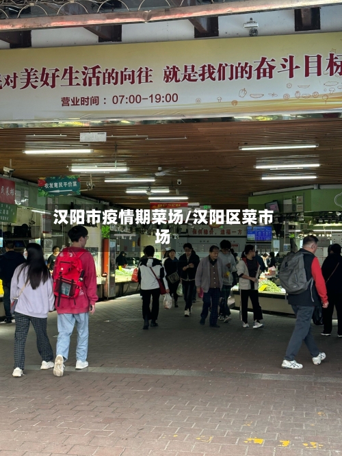 汉阳市疫情期菜场/汉阳区菜市场-第3张图片