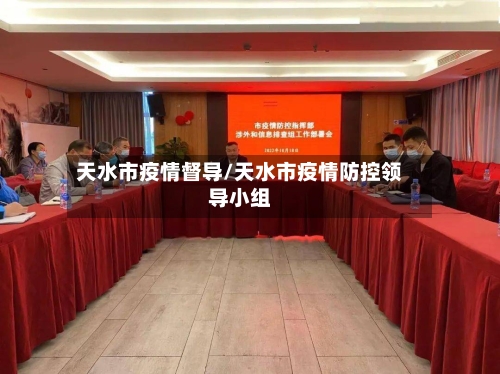 天水市疫情督导/天水市疫情防控领导小组-第1张图片