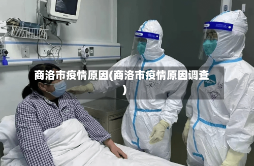 商洛市疫情原因(商洛市疫情原因调查)-第2张图片