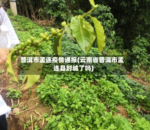 普洱市孟连疫情通报(云南省普洱市孟连县封城了吗)-第1张图片