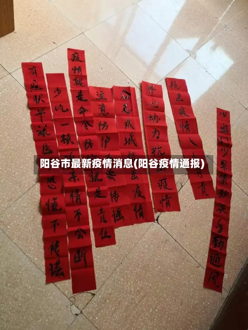 阳谷市最新疫情消息(阳谷疫情通报)-第1张图片