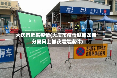 大庆市近来疫情(大庆市疫情期间龙岗分局网上抓获嫖娼案件)-第3张图片