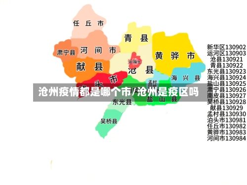 沧州疫情都是哪个市/沧州是疫区吗-第1张图片