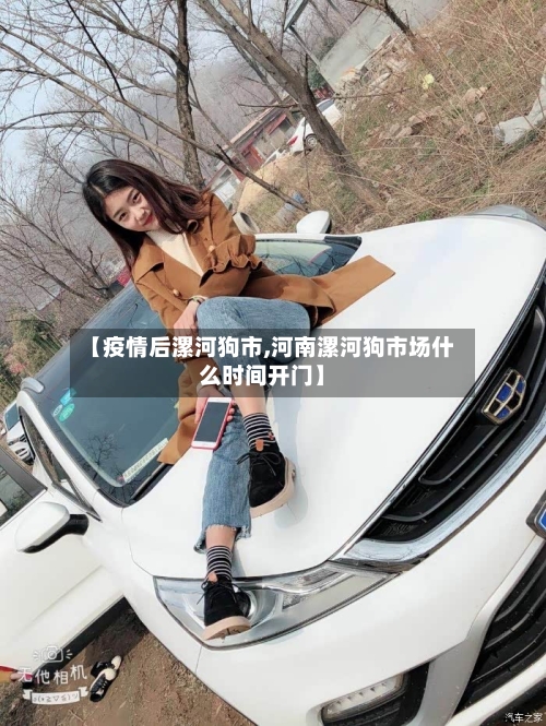 【疫情后漯河狗市,河南漯河狗市场什么时间开门】-第1张图片