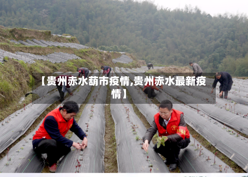 【贵州赤水葫市疫情,贵州赤水最新疫情】-第1张图片