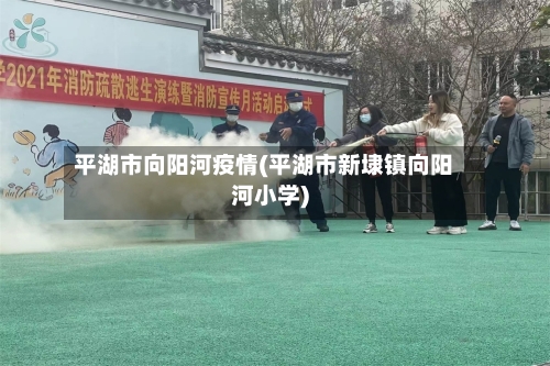 平湖市向阳河疫情(平湖市新埭镇向阳河小学)-第1张图片