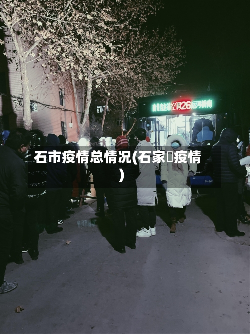 石市疫情总情况(石家庒疫情)-第1张图片