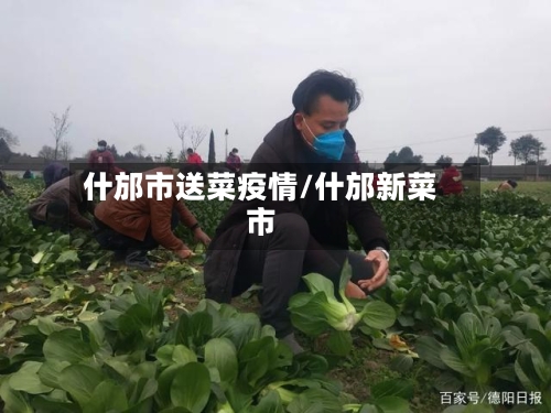什邡市送菜疫情/什邡新菜市-第1张图片