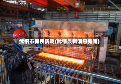 武钢市有疫情吗(武钢最新消息新闻)