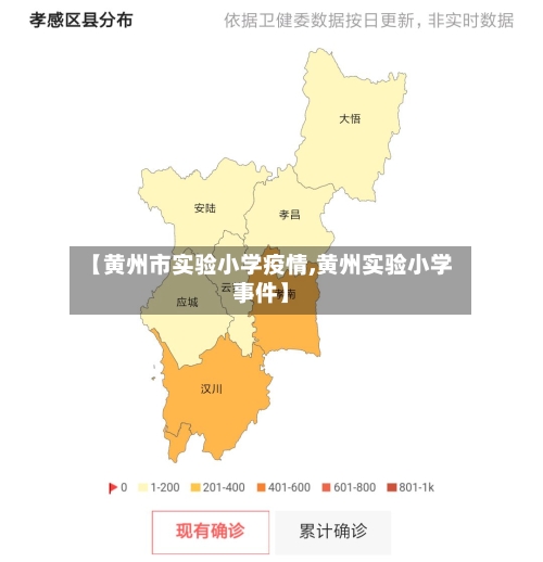 【黄州市实验小学疫情,黄州实验小学事件】-第1张图片