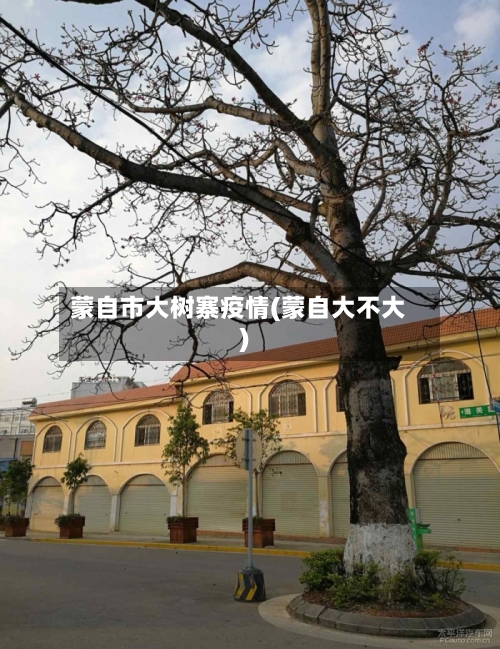 蒙自市大树寨疫情(蒙自大不大)