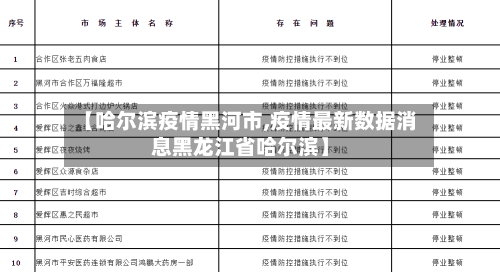 【哈尔滨疫情黑河市,疫情最新数据消息黑龙江省哈尔滨】-第1张图片