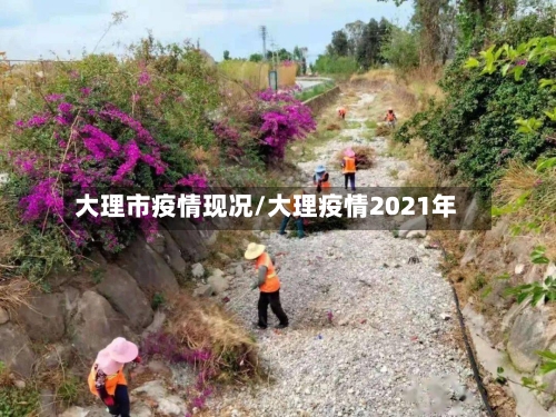 大理市疫情现况/大理疫情2021年-第1张图片
