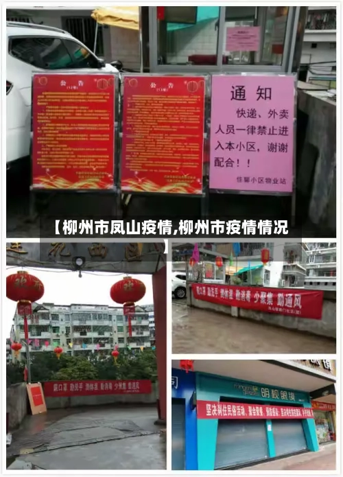 【柳州市凤山疫情,柳州市疫情情况】-第1张图片