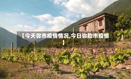 【今天弥市疫情情况,今日弥勒市疫情】-第1张图片