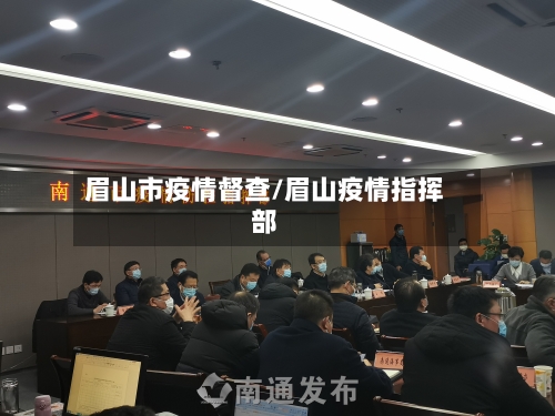 眉山市疫情督查/眉山疫情指挥部-第1张图片