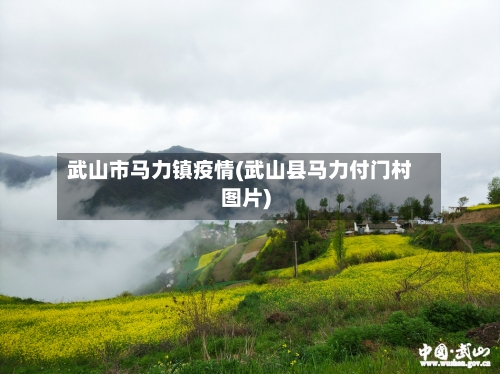 武山市马力镇疫情(武山县马力付门村图片)-第2张图片