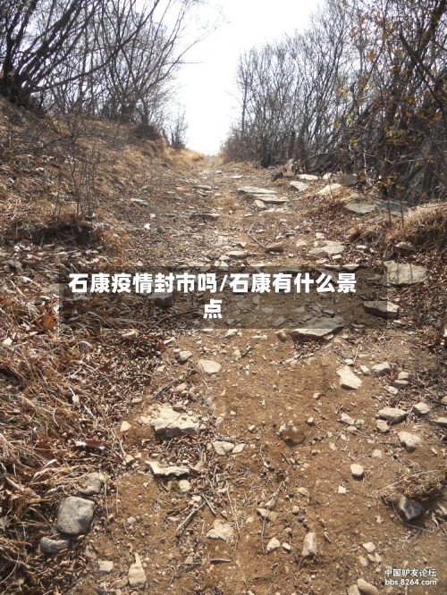 石康疫情封市吗/石康有什么景点-第3张图片