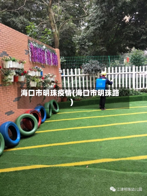 海口市明珠疫情(海口市明珠路)-第1张图片
