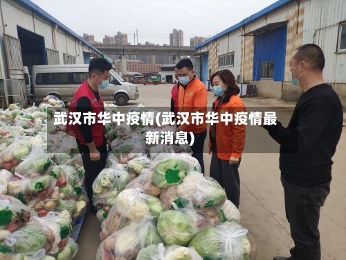武汉市华中疫情(武汉市华中疫情最新消息)
