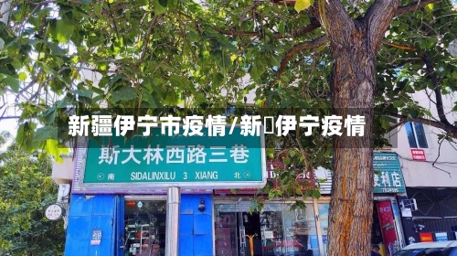 新疆伊宁市疫情/新彊伊宁疫情-第3张图片