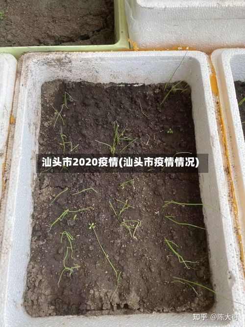 汕头市2020疫情(汕头市疫情情况)-第1张图片