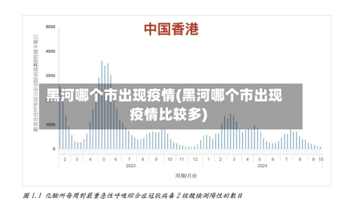 黑河哪个市出现疫情(黑河哪个市出现疫情比较多)-第1张图片