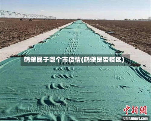 鹤壁属于哪个市疫情(鹤壁是否疫区)-第1张图片