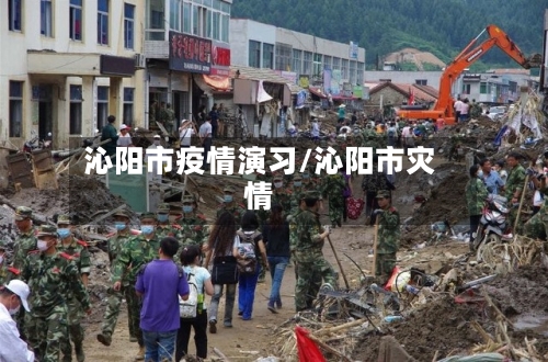 沁阳市疫情演习/沁阳市灾情-第1张图片