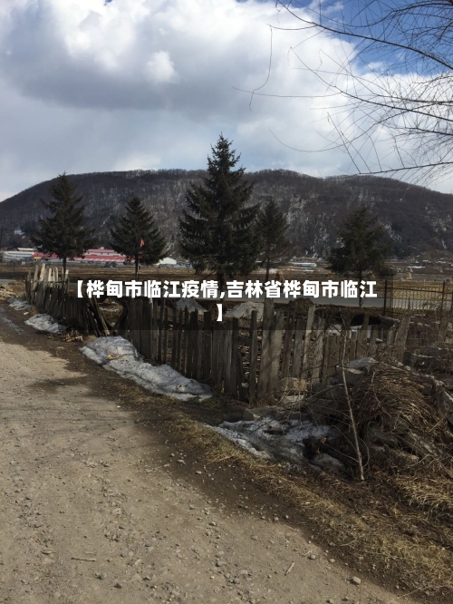 【桦甸市临江疫情,吉林省桦甸市临江】-第1张图片