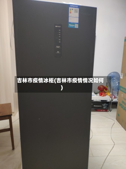 吉林市疫情冰柜(吉林市疫情情况如何)-第1张图片