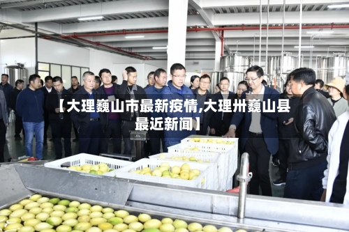 【大理巍山市最新疫情,大理卅巍山县最近新闻】-第2张图片