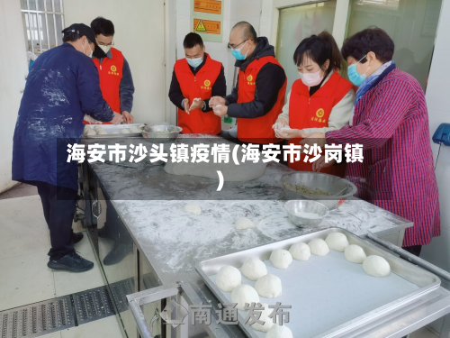 海安市沙头镇疫情(海安市沙岗镇)-第1张图片