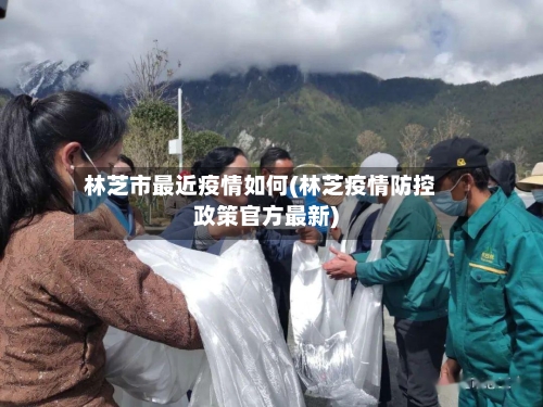 林芝市最近疫情如何(林芝疫情防控政策官方最新)-第1张图片