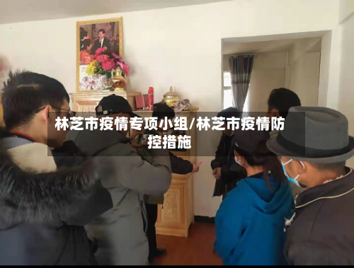 林芝市疫情专项小组/林芝市疫情防控措施-第1张图片