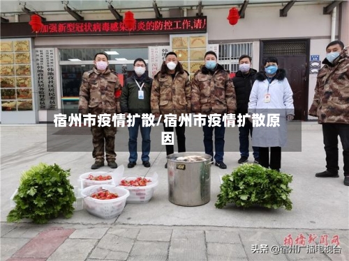 宿州市疫情扩散/宿州市疫情扩散原因-第1张图片