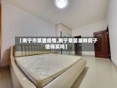 【南宁市莱茵疫情,南宁莱茵湖畔房子值得买吗】-第2张图片